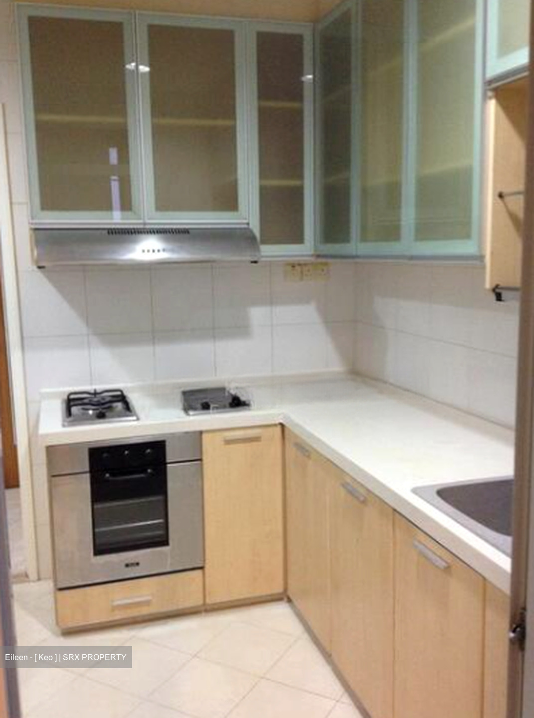 Treasure Gardens (D19), Apartment #529920691